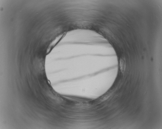 X0000060741107200512081910