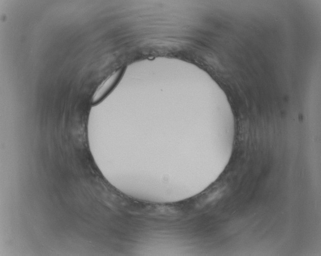 X0000060741109200512081910