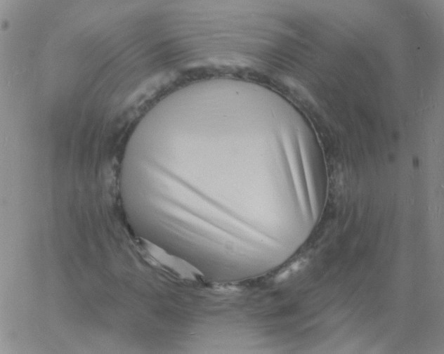 X0000060741110200512081910