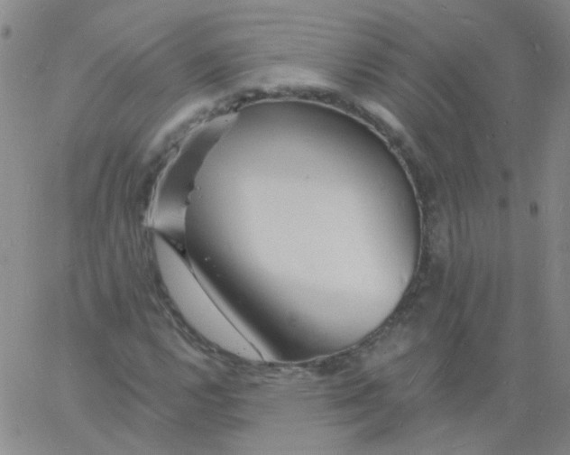 X0000060741112200512081910