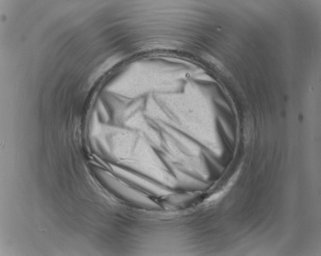 X0000060741113200512081910