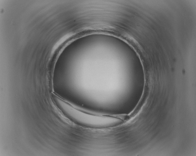 X0000060741114200512081911