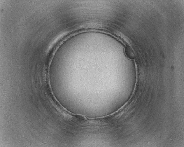 X0000060741115200512081911