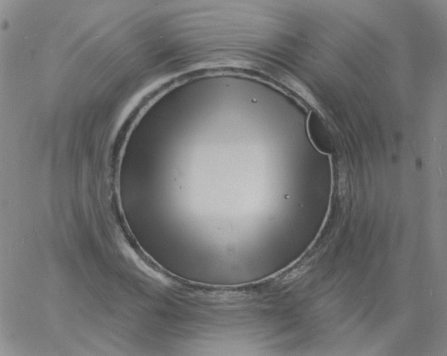 X0000060741116200512081911