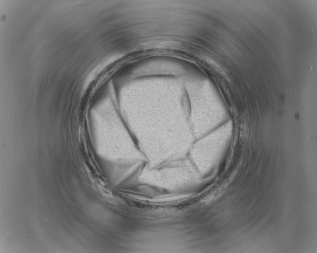 X0000060741117200512081911