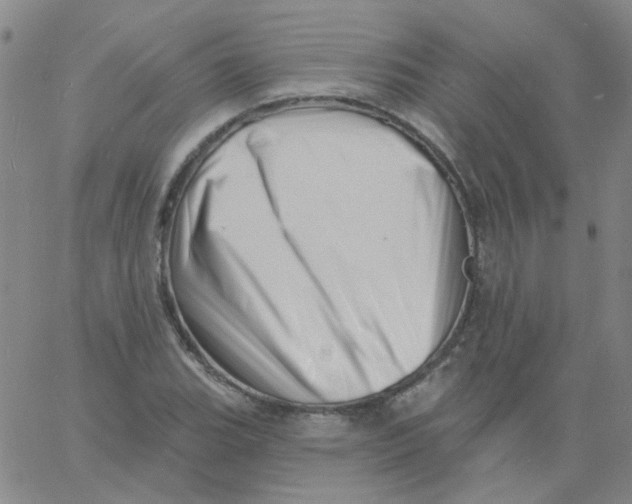 X0000060741119200512081911