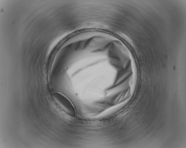 X0000060741120200512081911