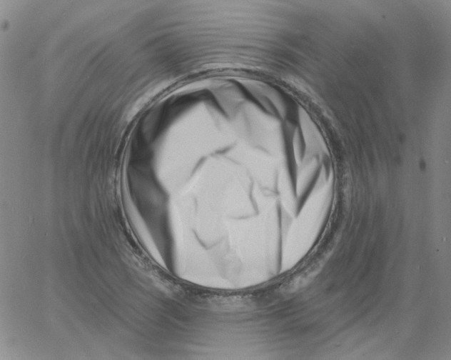 X0000060741121200512081911