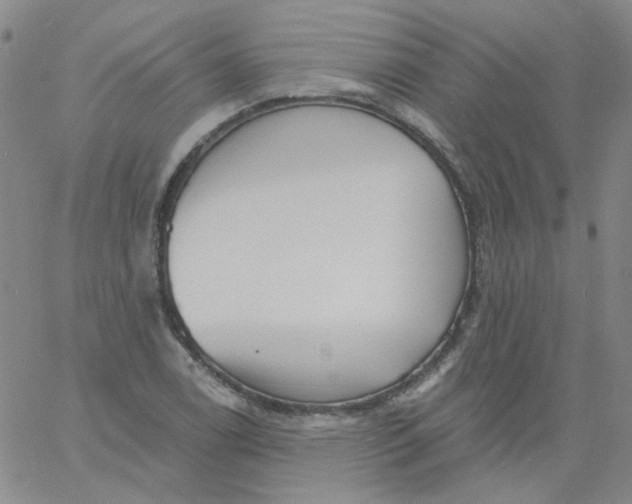 X0000060741122200512081911