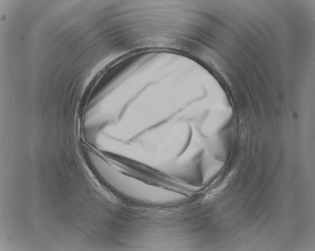 X0000060741125200512081911