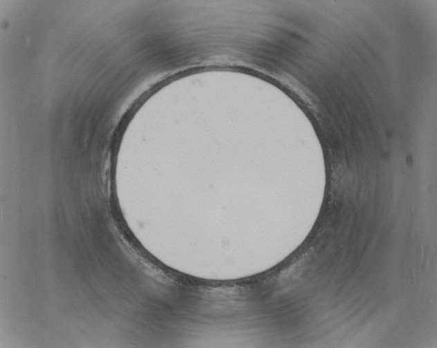 X0000060741126200512081911