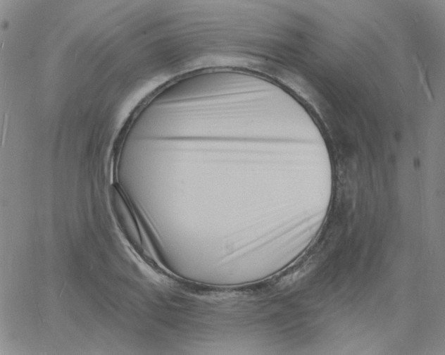 X0000060741127200512081911