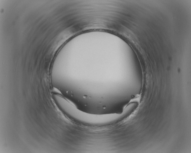 X0000060741129200512081911