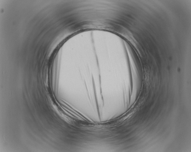 X0000060741131200512081911