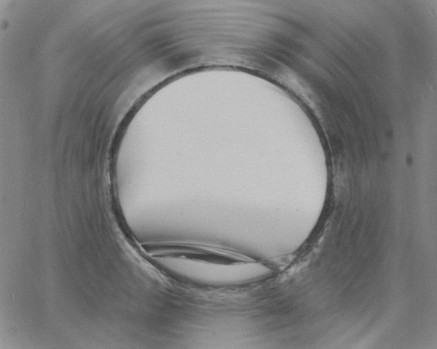 X0000060741133200512081911