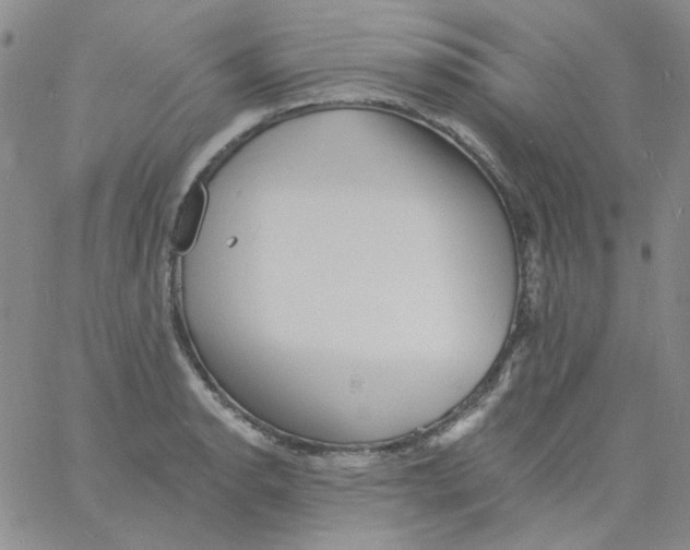 X0000060741134200512081911