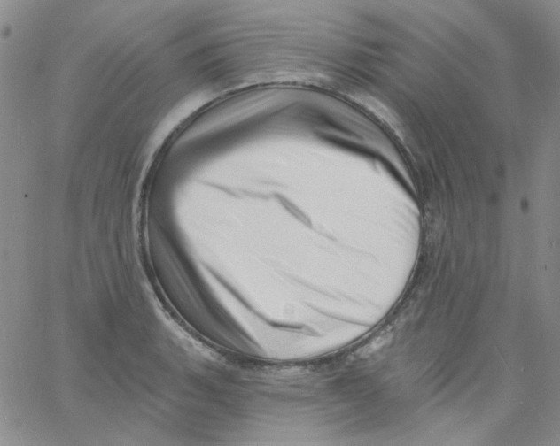 X0000060741135200512081911