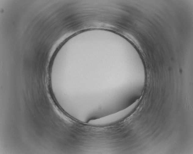 X0000060741136200512081911