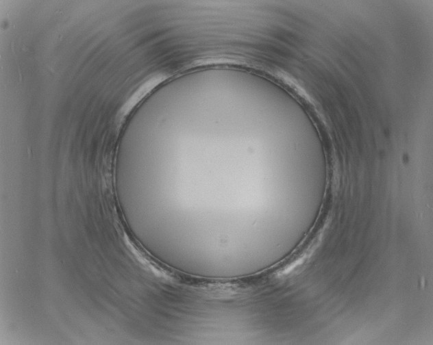 X0000060741137200512081911