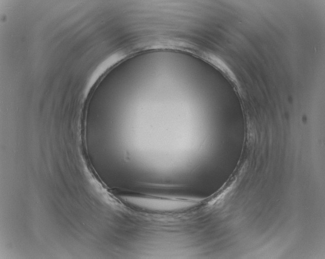 X0000060741138200512081911