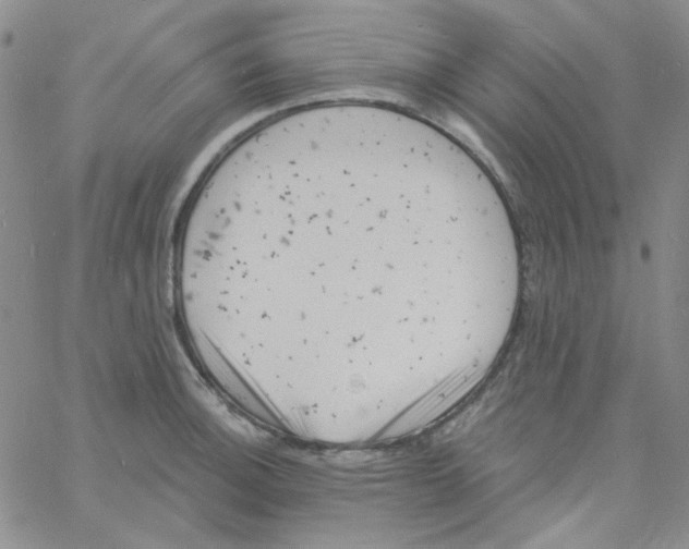 X0000060741140200512081911