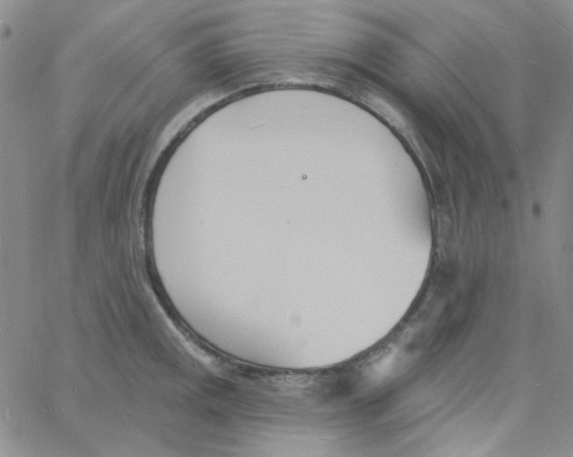 X0000060741141200512081911