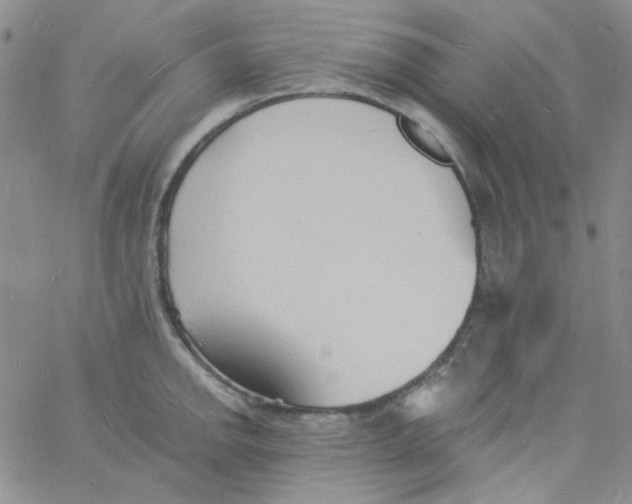 X0000060741142200512081911