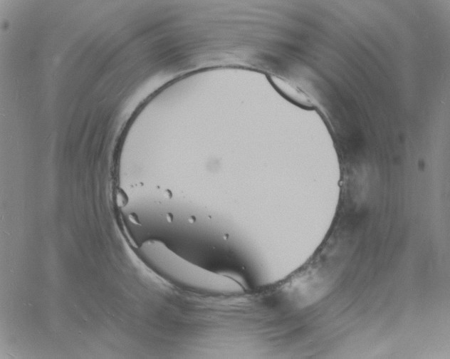 X0000060741143200512081911