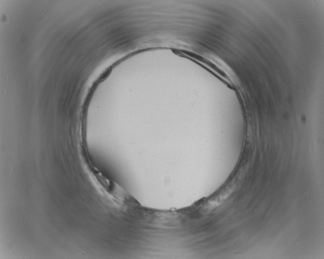 X0000060741144200512081911