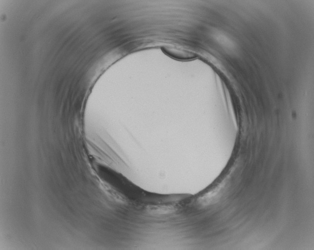 X0000060741145200512081911