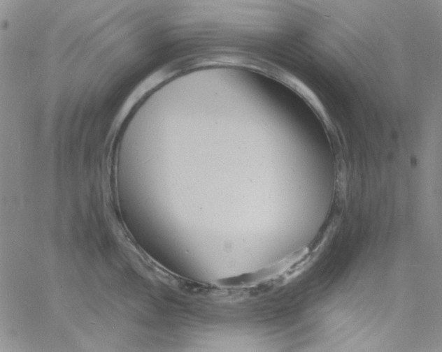 X0000060741146200512081911