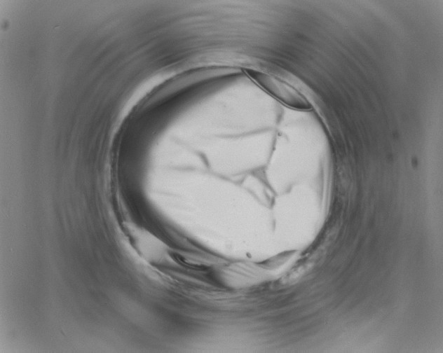 X0000060741147200512081911