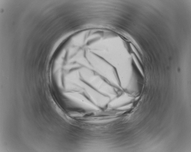 X0000060741148200512081911