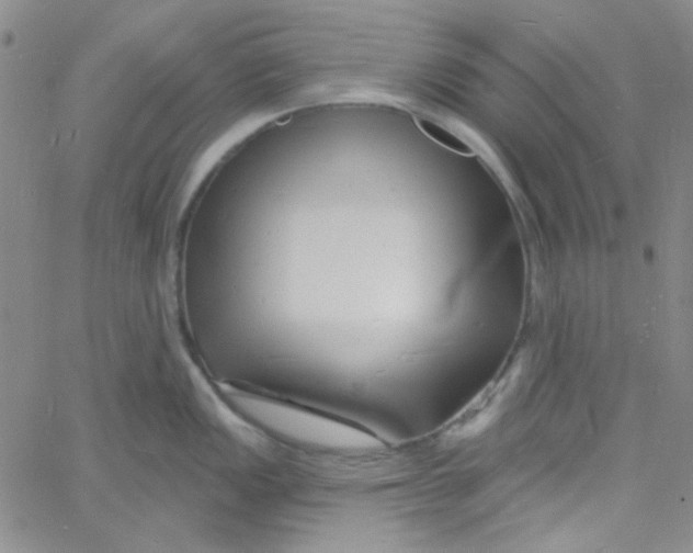 X0000060741149200512081911