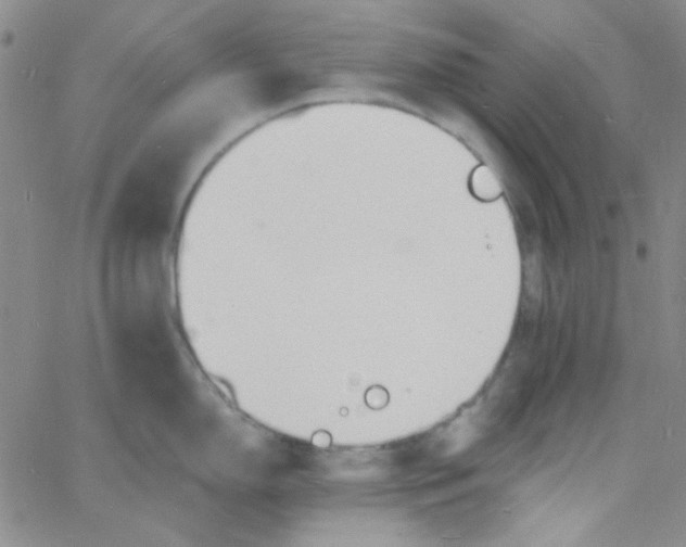 X0000060741150200512081911