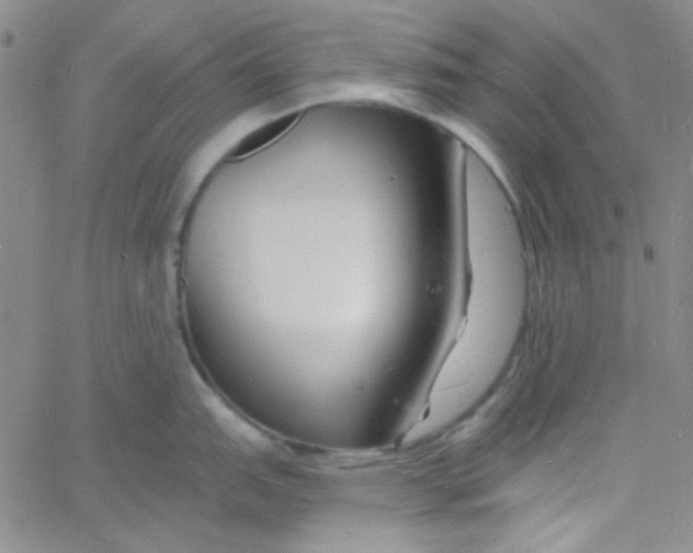 X0000060741151200512081911