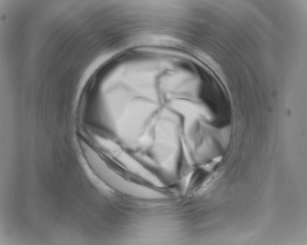 X0000060741152200512081911