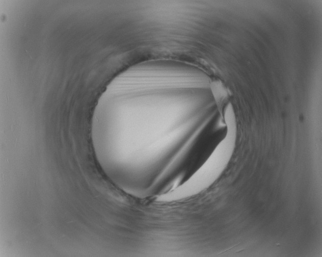 X0000060741153200512081910