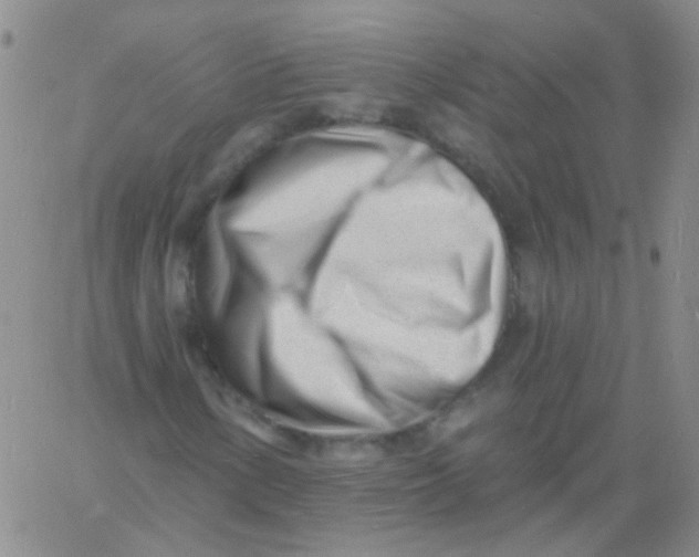 X0000060741154200512081910