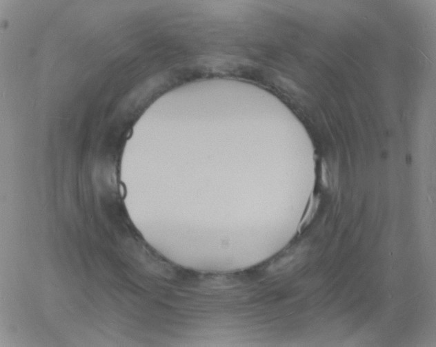 X0000060741155200512081910