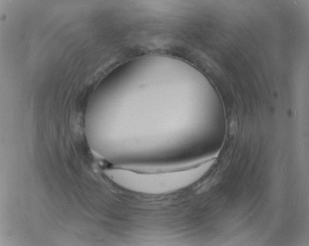 X0000060741156200512081910