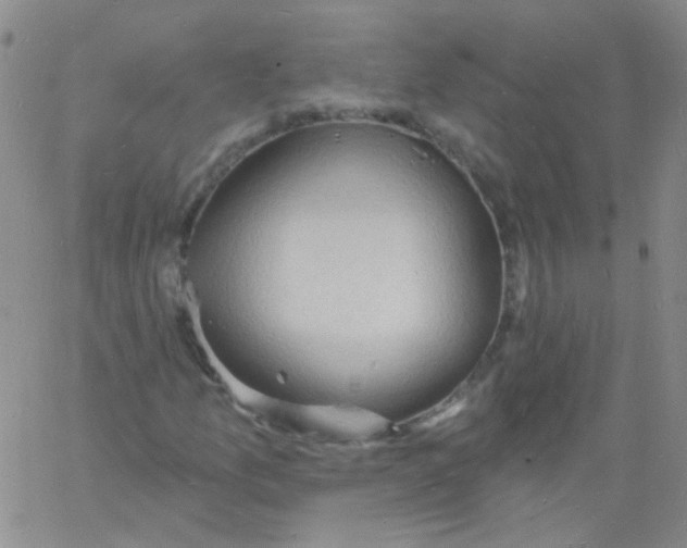 X0000060741157200512081910