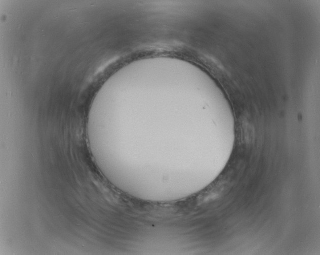 X0000060741158200512081910