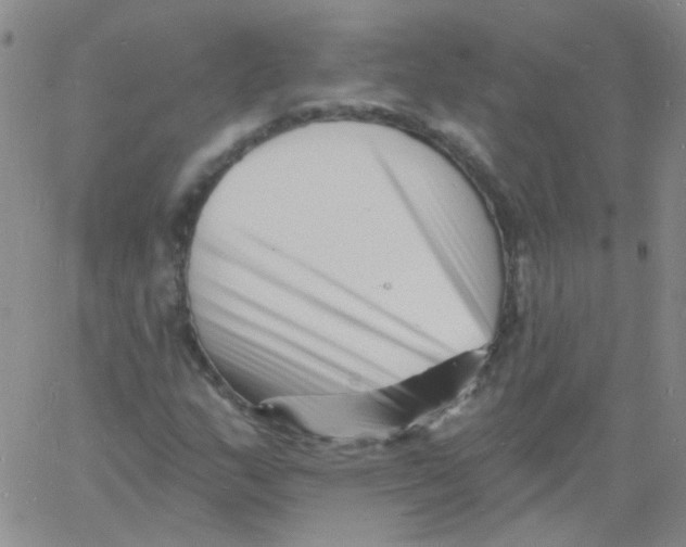 X0000060741159200512081910