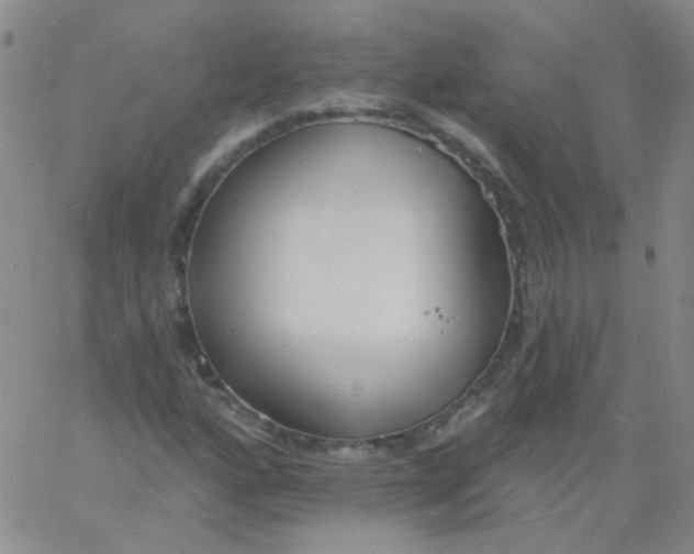 X0000060741160200512081910