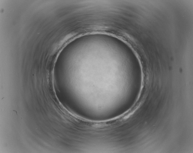 X0000060741161200512081910