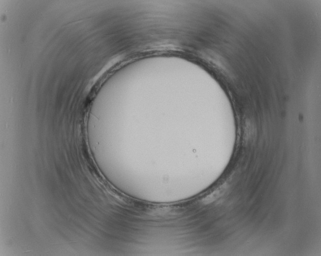 X0000060741162200512081910