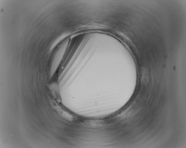 X0000060741163200512081910