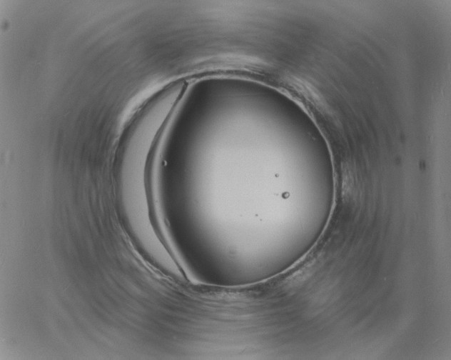 X0000060741164200512081910