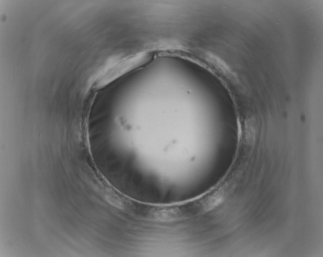 X0000060741165200512081910